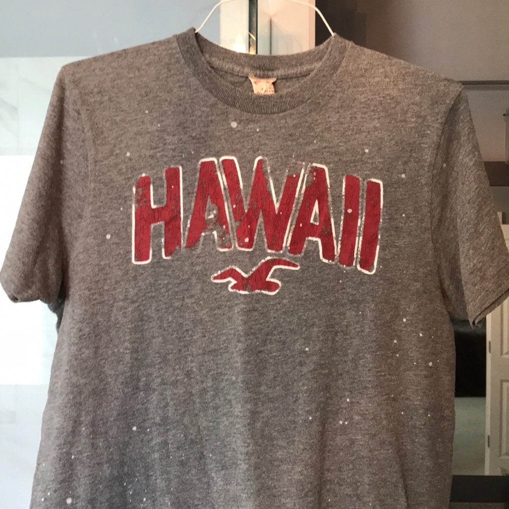 COPY - Men’s Hollister Gray Hawaii T-Shirt Size L…